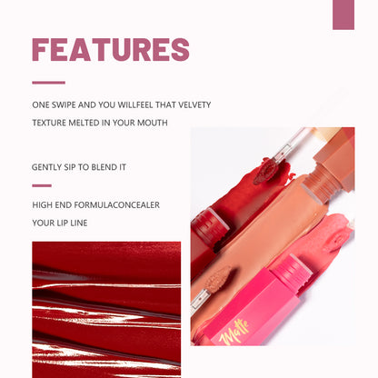 VIBRANT VELVET MATTE LIQUID LIPSTICK HIGHLY PIGMENTED LIP GLOSS